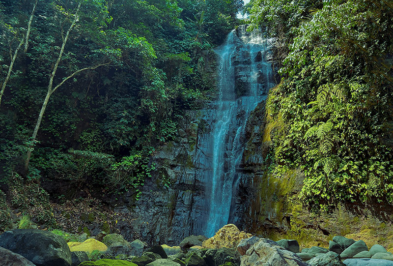 Bunihayu Forest Eco-Edu Tourism