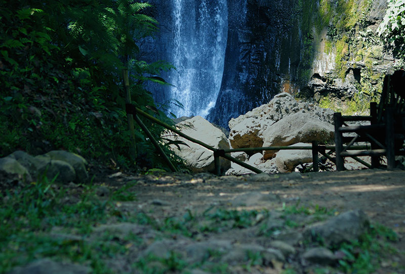 Bunihayu Forest Eco-Edu Tourism