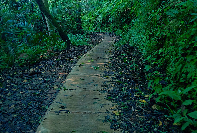 Bunihayu Forest Eco-Edu Tourism